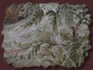 Foto: Eisfden in einer Zypresse